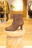 Bottillons Solea - Taupe